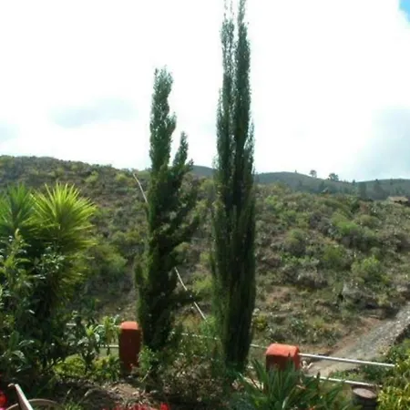 Casa Amarilla Holiday home